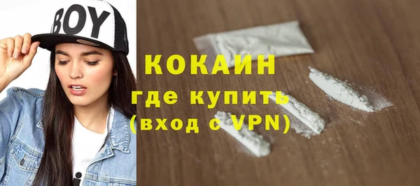 шишки Нязепетровск