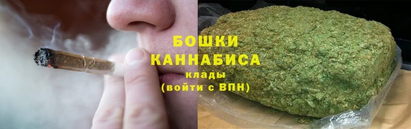 шишки Нязепетровск