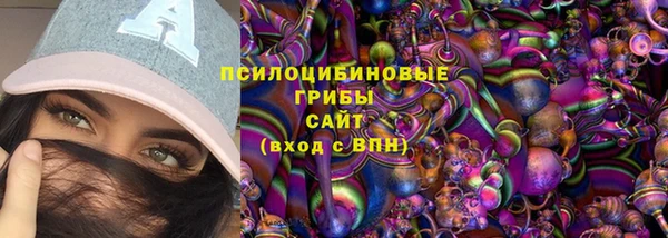 mdpv Дмитров