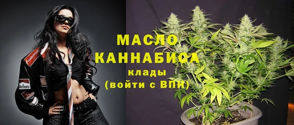дживик Новозыбков