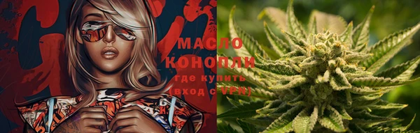 шишки Нязепетровск