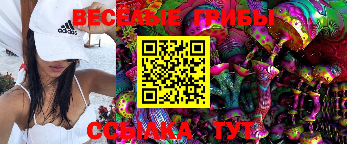 Псилоцибиновые грибы Cubensis  Кумертау  Галлюциногенные грибы Psilocybe 